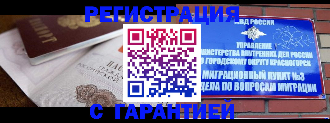 прописка 2025 в Щиграх